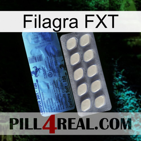 Filagra FXT 34.jpg